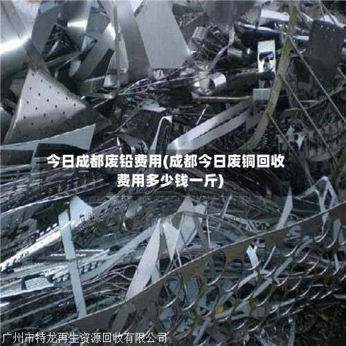 今日成都废铅费用(成都今日废铜回收费用多少钱一斤)-第2张图片