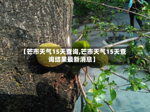 【芒市天气15天查询,芒市天气15天查询结果最新消息】