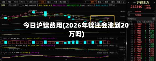 今日沪镍费用(2026年镍还会涨到20万吗)-第2张图片
