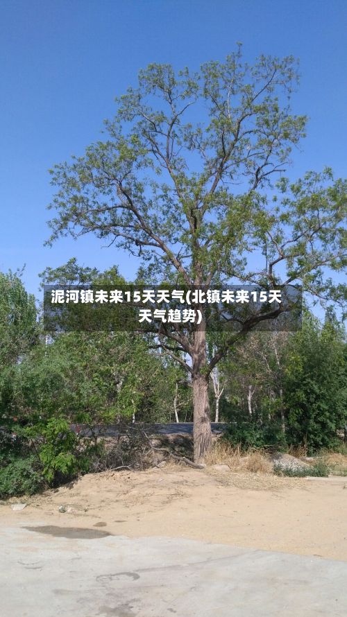 泥河镇未来15天天气(北镇未来15天天气趋势)