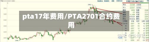 pta17年费用/PTA2701合约费用