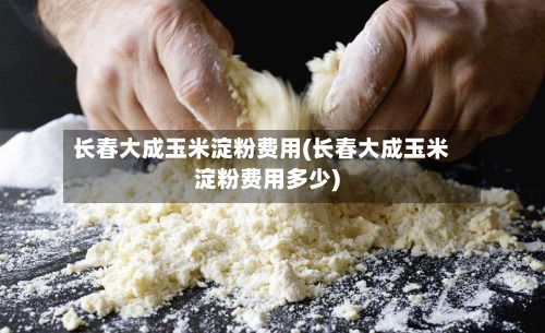 长春大成玉米淀粉费用(长春大成玉米淀粉费用多少)