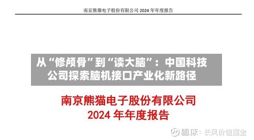 从“修颅骨”到“读大脑	”：中国科技公司探索脑机接口产业化新路径-第3张图片