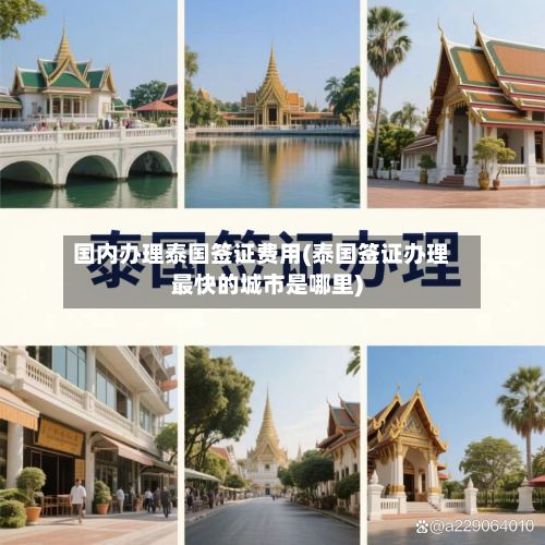 国内办理泰国签证费用(泰国签证办理最快的城市是哪里)