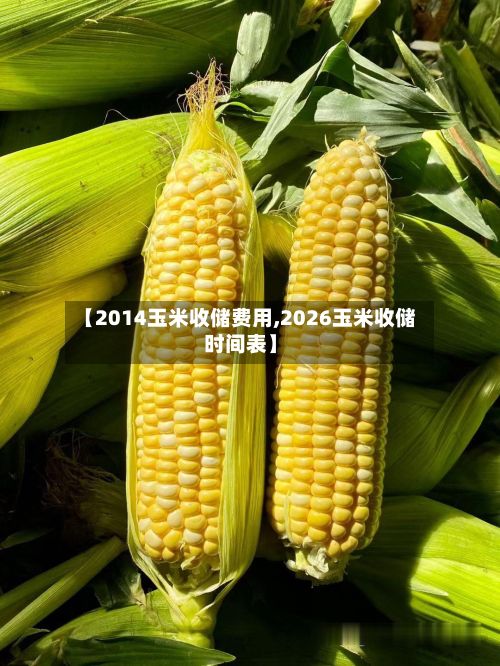 【2014玉米收储费用,2026玉米收储时间表】