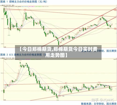 【今日郑棉期货,郑棉期货今日实时费用走势图】-第2张图片