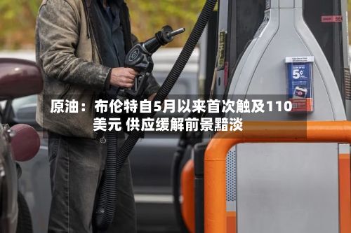 原油:布伦特自5月以来首次触及110美元 供应缓解前景黯淡-第2张图片