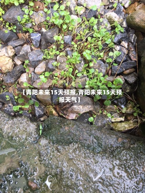 【青阳未来15天预报,青阳未来15天预报天气】