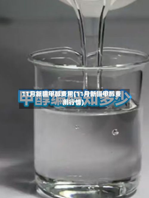 11月新疆甲醇费用(11月新疆甲醇费用行情)