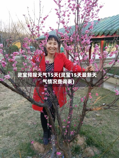 灵宝预报天气15天(灵宝15天最新天气情况查询表)
