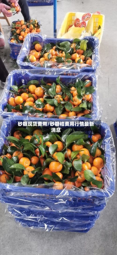 砂糖现货费用/砂糖桔费用行情最新消息