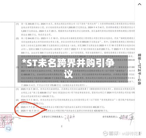 *ST未名跨界并购引争议-第2张图片