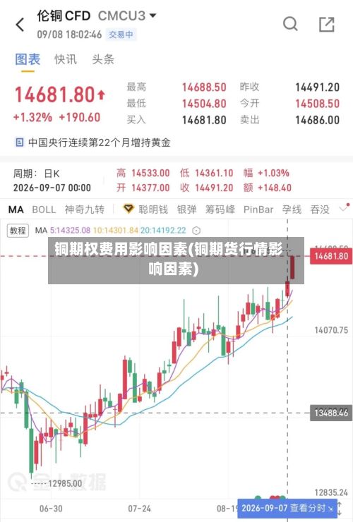 铜期权费用影响因素(铜期货行情影响因素)-第2张图片