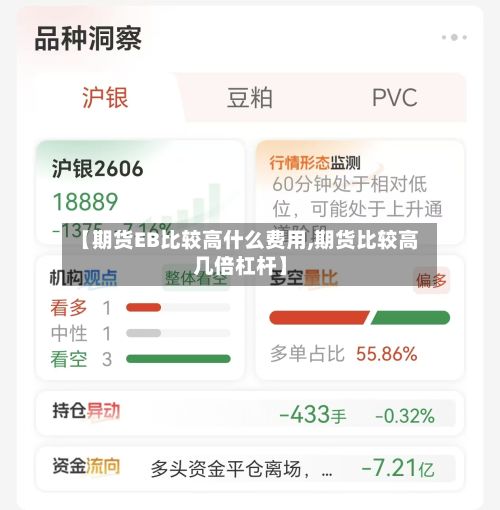 【期货EB比较高什么费用,期货比较高几倍杠杆】