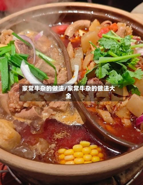 家常牛杂的做法/家常牛杂的做法大全