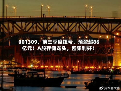 001309，前三季度扭亏，预盈超86亿元！A股存储龙头	，密集利好！-第3张图片