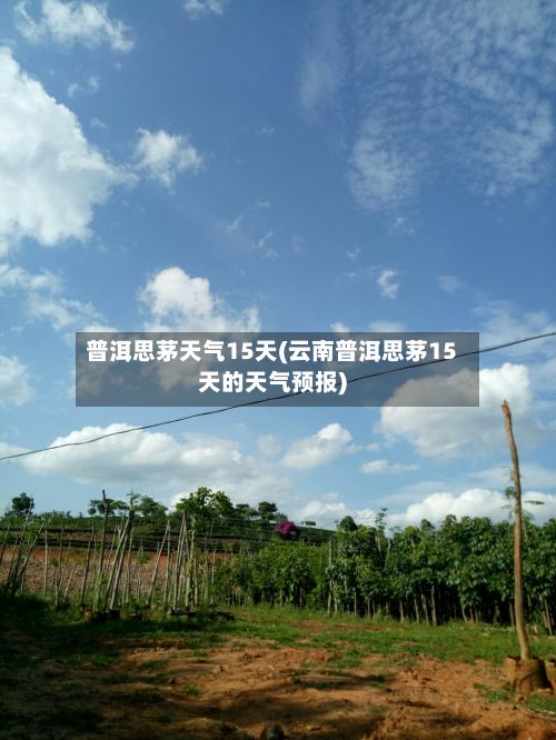 普洱思茅天气15天(云南普洱思茅15天的天气预报)-第3张图片