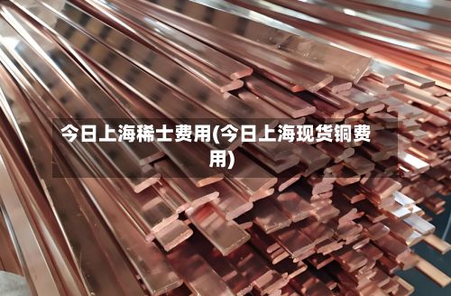 今日上海稀士费用(今日上海现货铜费用)