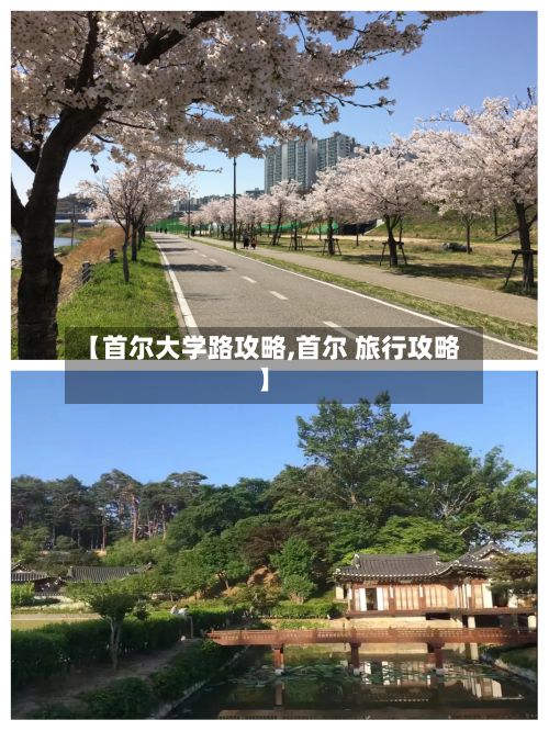 【首尔大学路攻略,首尔 旅行攻略】