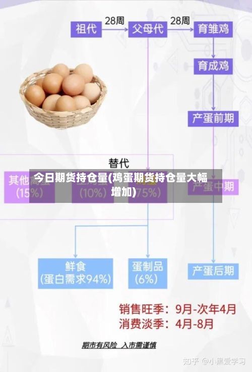 今日期货持仓量(鸡蛋期货持仓量大幅增加)