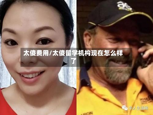 太傻费用/太傻留学机构现在怎么样了