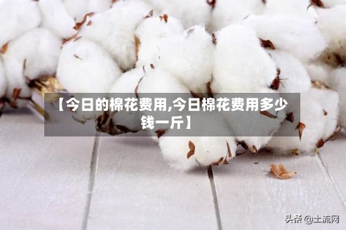 【今日的棉花费用,今日棉花费用多少钱一斤】-第2张图片