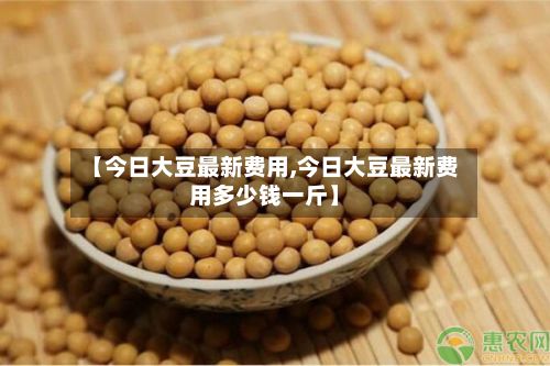 【今日大豆最新费用,今日大豆最新费用多少钱一斤】-第3张图片