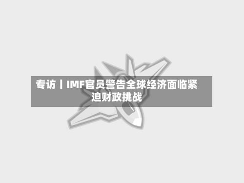 专访丨IMF官员警告全球经济面临紧迫财政挑战