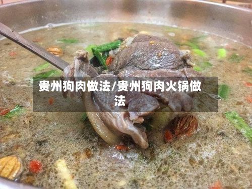 贵州狗肉做法/贵州狗肉火锅做法