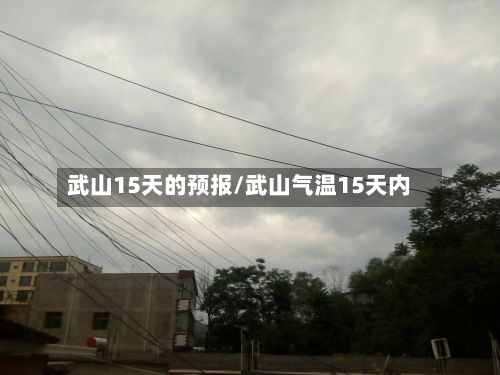 武山15天的预报/武山气温15天内