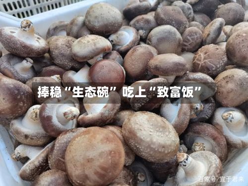 捧稳“生态碗	” 吃上“致富饭”-第3张图片