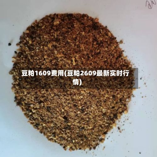 豆粕1609费用(豆粕2609最新实时行情)-第3张图片