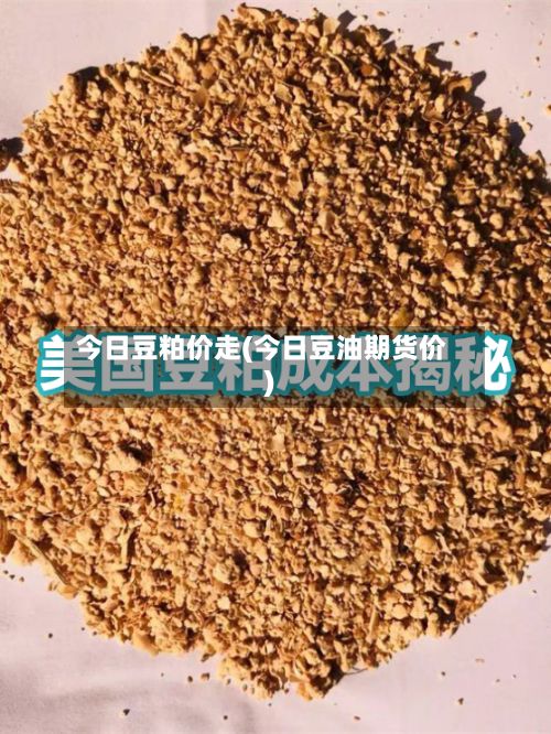 今日豆粕价走(今日豆油期货价)-第1张图片