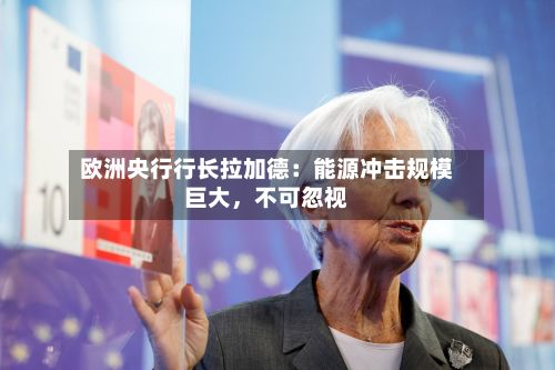 欧洲央行行长拉加德：能源冲击规模巨大，不可忽视-第3张图片