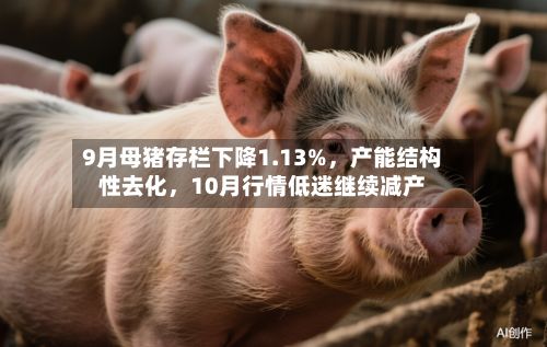 9月母猪存栏下降1.13%	，产能结构性去化，10月行情低迷继续减产-第2张图片