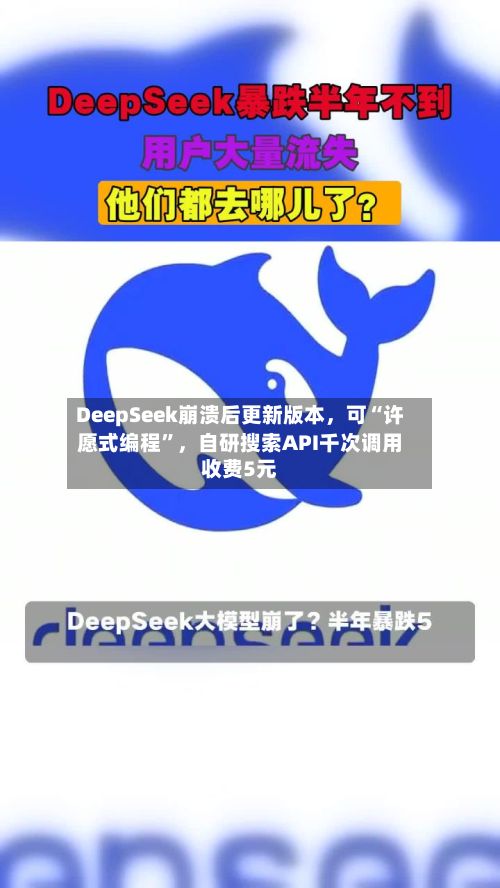 DeepSeek崩溃后更新版本	，可“许愿式编程”，自研搜索API千次调用收费5元-第3张图片