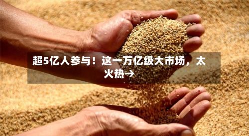 超5亿人参与！这一万亿级大市场，太火热→-第2张图片