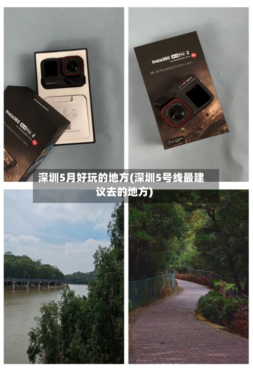 深圳5月好玩的地方(深圳5号线最建议去的地方)