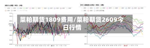 菜粕期货1809费用/菜粕期货2609今日行情