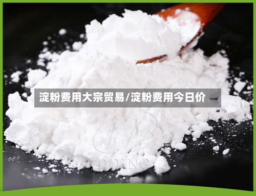 淀粉费用大宗贸易/淀粉费用今日价-第2张图片