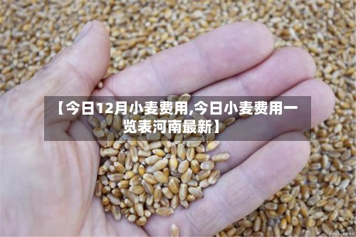 【今日12月小麦费用,今日小麦费用一览表河南最新】-第2张图片