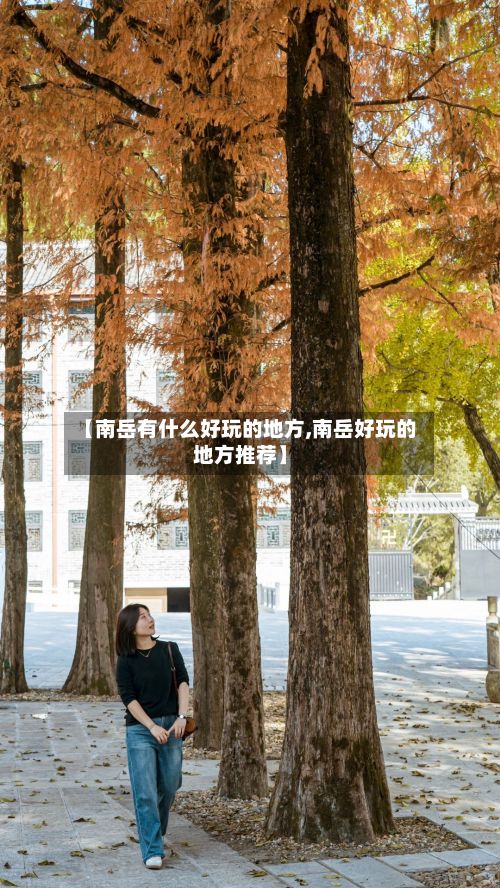 【南岳有什么好玩的地方,南岳好玩的地方推荐】