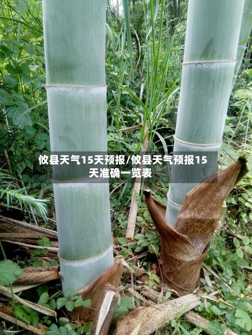 攸县天气15天预报/攸县天气预报15天准确一览表