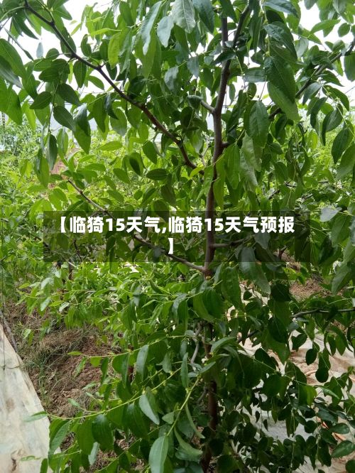 【临猗15天气,临猗15天气预报】-第3张图片