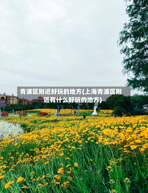 青浦区附近好玩的地方(上海青浦区附近有什么好玩的地方)-第3张图片
