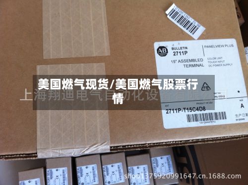 美国燃气现货/美国燃气股票行情