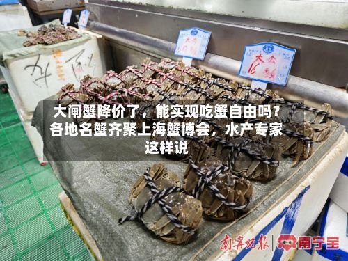 大闸蟹降价了，能实现吃蟹自由吗？各地名蟹齐聚上海蟹博会，水产专家这样说-第2张图片