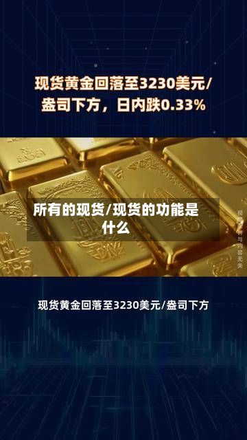 所有的现货/现货的功能是什么