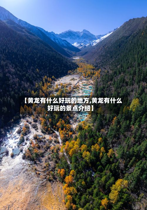 【黄龙有什么好玩的地方,黄龙有什么好玩的景点介绍】-第3张图片