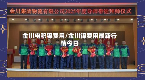 金川电积镍费用/金川镍费用最新行情今日-第2张图片